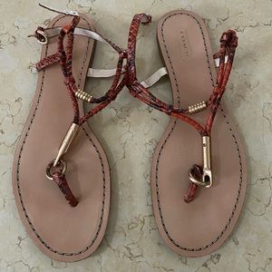 Size 7.5 coach sandals, like new